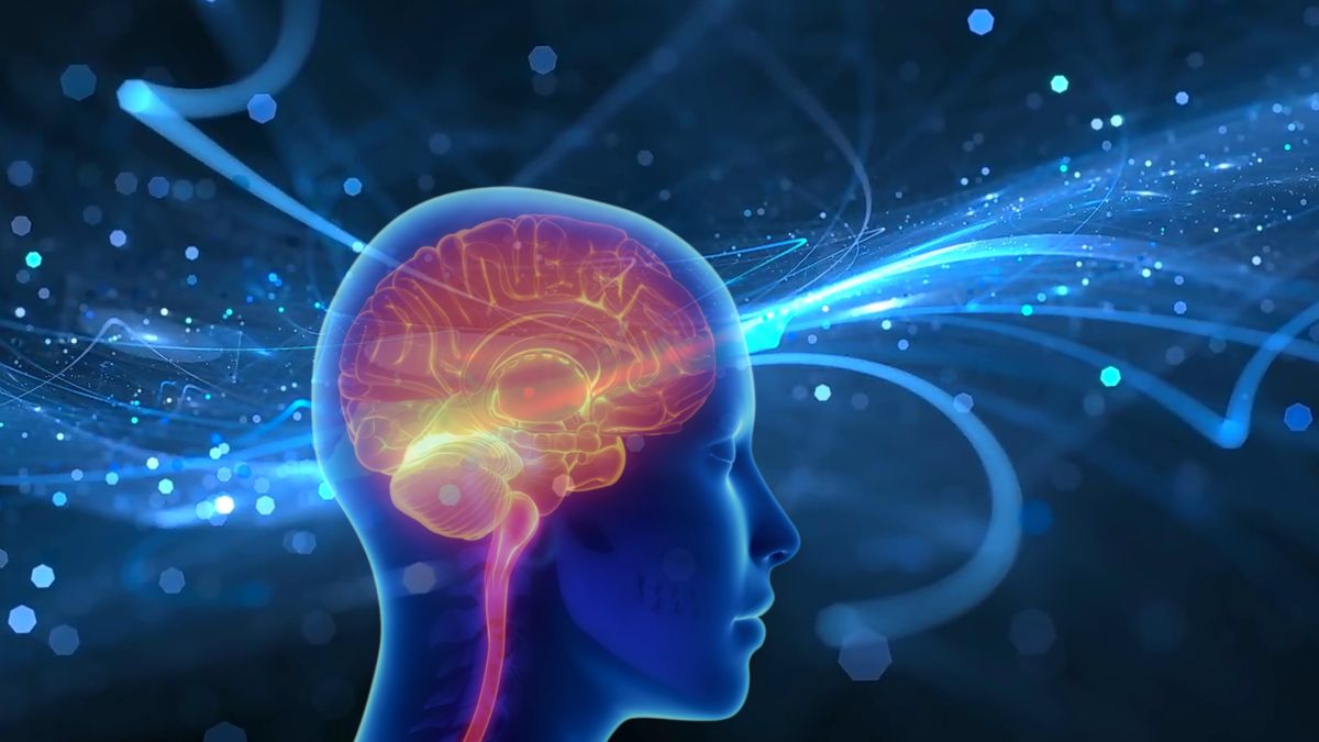 Synapticure Launches Groundbreaking