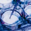 Vir Biotechnology Announces Chief Financial