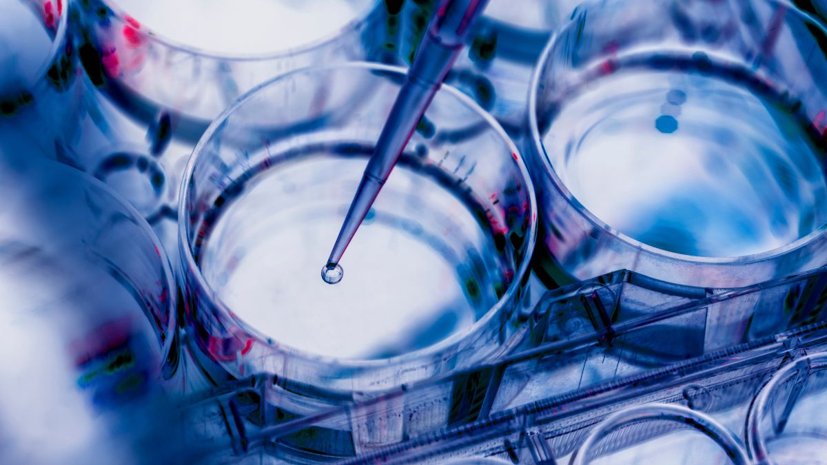 Vir Biotechnology Announces Chief Financial