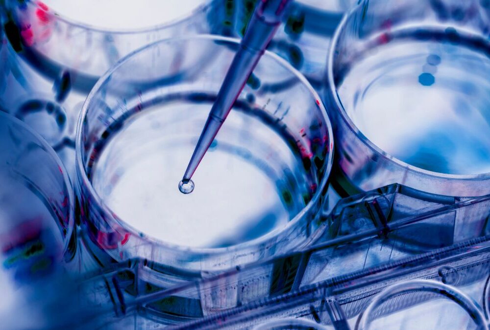 ME Therapeutics Advances In Vivo