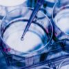 ME Therapeutics Advances In Vivo