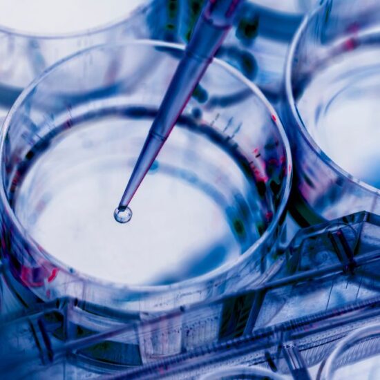 ME Therapeutics Advances In Vivo