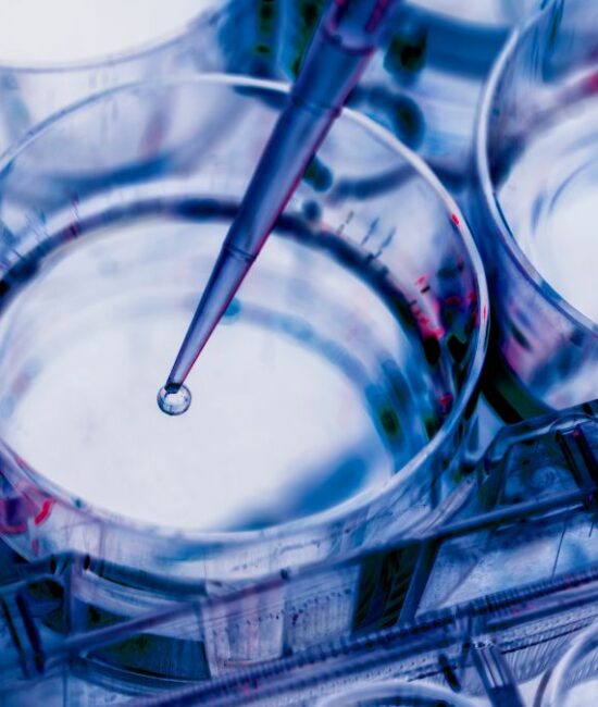 ME Therapeutics Advances In Vivo