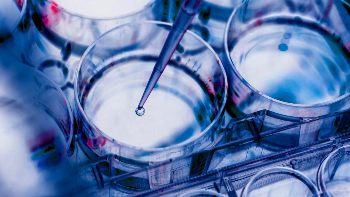 ME Therapeutics Advances In Vivo