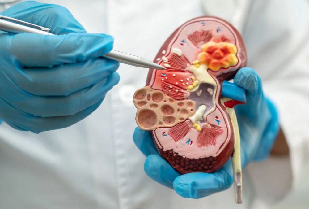 NKF Innovation Fund Invests