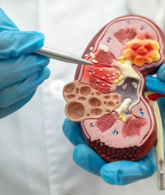 NKF Innovation Fund Invests