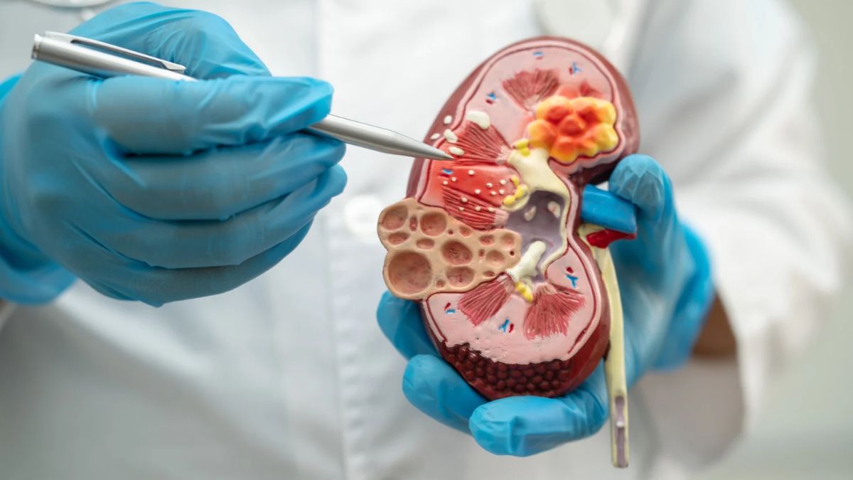 NKF Innovation Fund Invests